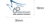 60ֳ  