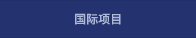 国际项目